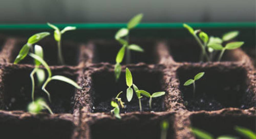 Top 5 Reasons to Invest in Multi-Family Real Estate